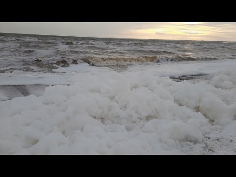 Видео: Морько, морько. Солено да горько