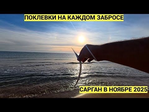 Видео: Осенняя рыбалка на Саргана 2025 рыба на каждом забросе