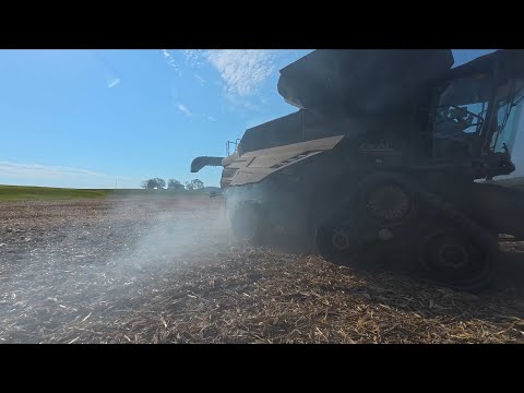 Видео: Неидеально
