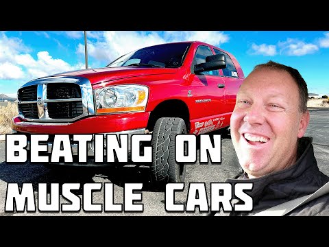 Видео: Обгон маслкаров с Daily Driver Diesel