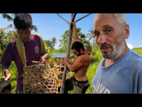 Видео: Как сажают сахарный тростник | Посадили папайи | Обрезали маранг | Жизнь с филиппинкой в деревне