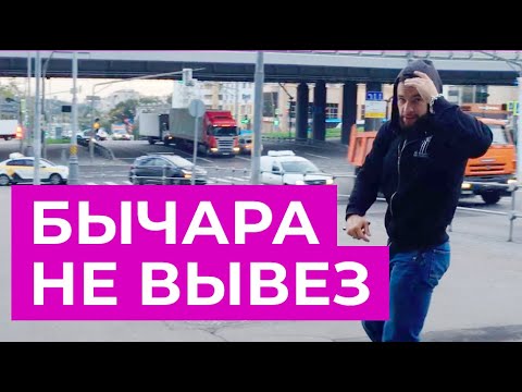 Видео: Борьба за тротуар