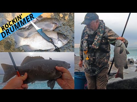 Видео: Захватывающая рыбалка на барабанщика с легкими снастями со скал!