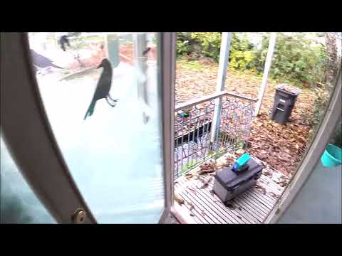 Видео: Экскурсия по демонстрационному дому, построенному в 1962 году и оцениваемому в 2 миллиона долларов