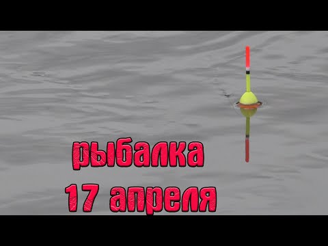 Видео: НЕ ОЖИДАЛ ПОЙМАТЬ ЭТИХ РЫБ В РЕЧКЕ. Рыбалка на поплавок 17 апреля 2024.