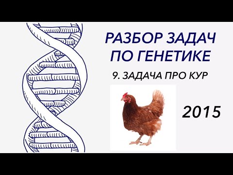 Видео: Разбор задачи по генетике, 2015 год - ЦТ, ЕГЭ, ЗНО