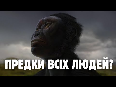 Видео: Австралопітек афарський: коротка довідка про вид
