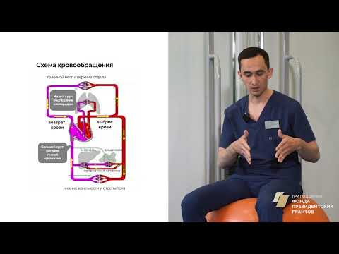 Видео: 1. Как гиподинамия ведет к риску микроинсультов, инсультов и гипертонических кризов?