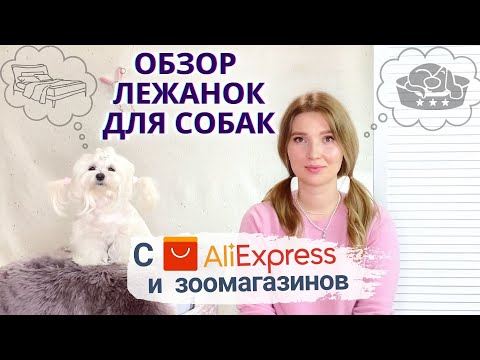 Видео: Лежанки для собак с AliExpress и зоомагазина.