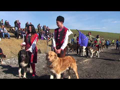 Видео: Киноложка изложба - Българско овчарско куче