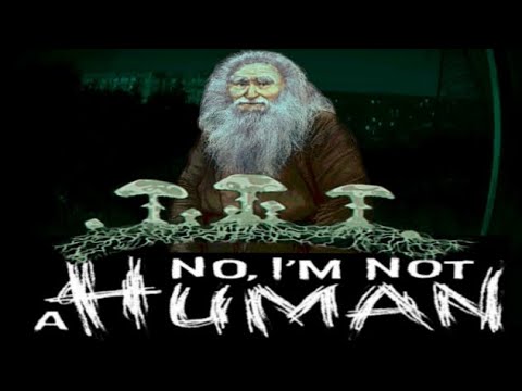 Видео: 🔥 ПОЛНЫЙ ГАЙД НА КОНЦОВКУ - СТРАНА ГРИБОВ В ИГРЕ: NO I'M NOT A HUMAN | Лампочка TV Play 🔥
