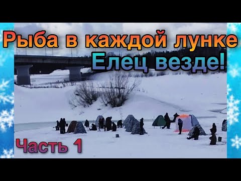 Видео: Как из пулемета.Елец.Мормышка.часть1