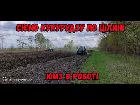 Видео: Сіємо цілину ЮМЗ в роботі  Кукурудза від Еліта Селект по Цілині