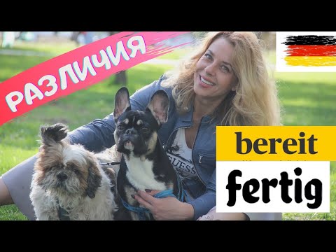 Видео: Чем отличается  bereit от fertig? Онлайн курс немецкий для начинающих Фрау Анжелика