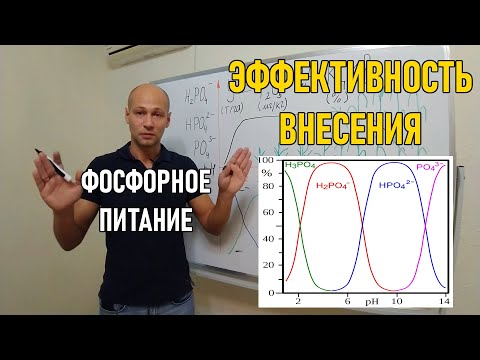 Видео: Стратегия применения фосфорных удобрений