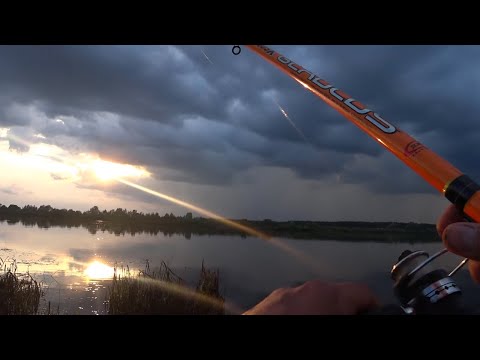 Видео: Рыбалка в проводку на Оке июль 2020! Рыбалка на поплавок!