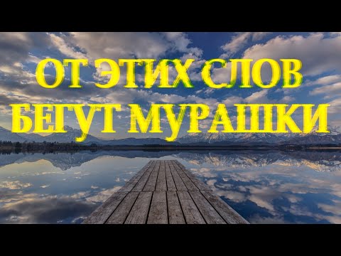 Видео: Очень душевный стих "А знаешь жизнь загадочная штука" Дмитрий Кудрявцев Читает Леонид Юдин