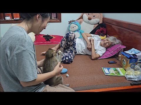 Видео: Хыонг берёт обезьянку Наху в гости к бабушке.