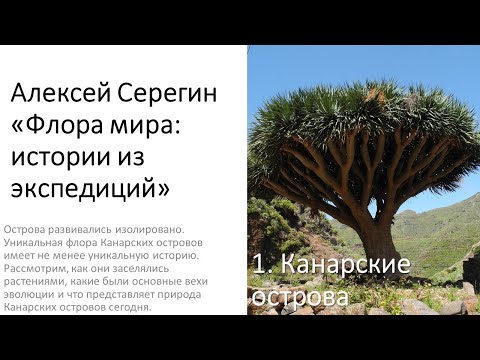 Видео: Алексей Серегин "Что такое география растений + Канарские острова"