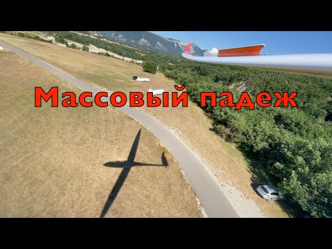 Видео: Массовый падеж планеров