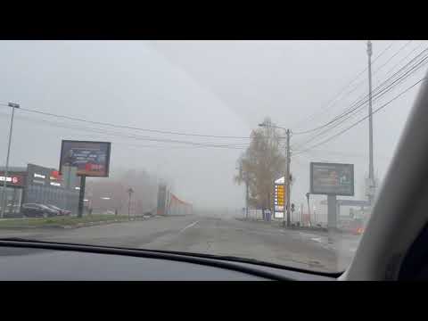 Видео: Авто прогулка до ЛЕМАНА ПРО , где цветы дешевле? 🌲