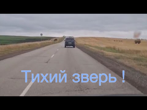 Видео: Нива на дальняке! Рок-н-ролл в чистом виде!