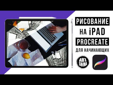 Видео: Рисование на планшете iPad в Procreate ДЛЯ НАЧИНАЮЩИХ iPad или Wacom? Кисти в  Procreate ART Shima