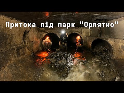 Видео: Витоки Либіді: Притока з-під парку Орлятко