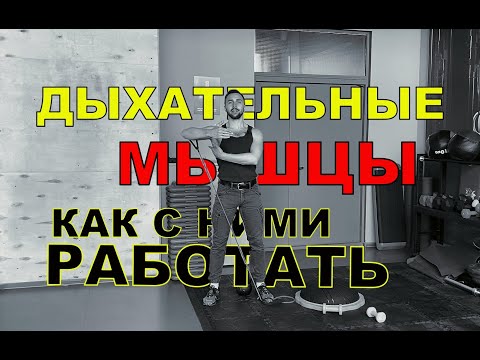 Видео: ДЫХАТЕЛЬНЫЕ МЫШЦЫ / ПРОБЛЕМЫ С ПЛЕЧАМИ И СПИНОЙ В ТАНЦЕ