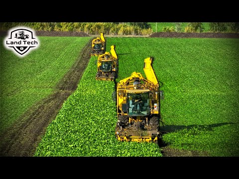 Видео: Мощные комбайны ROPA EURO-TIGER V8 - Красивая уборка сахарной свеклы!