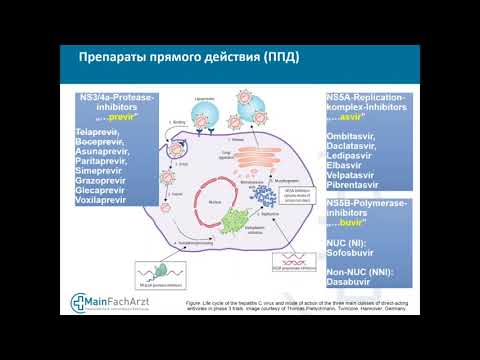 Видео: Лечение Гепатита C - webinar