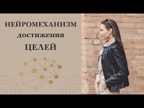 Видео: УБИРАЕМ ОТКАТЫ И СРЫВЫ. Нейромеханизм достижения целей.