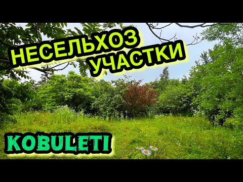 Видео: Несельхоз участки в городе Кобулети