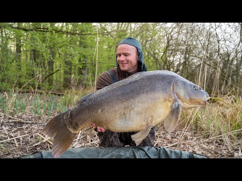 Видео: Карпфишинг открытие сезона