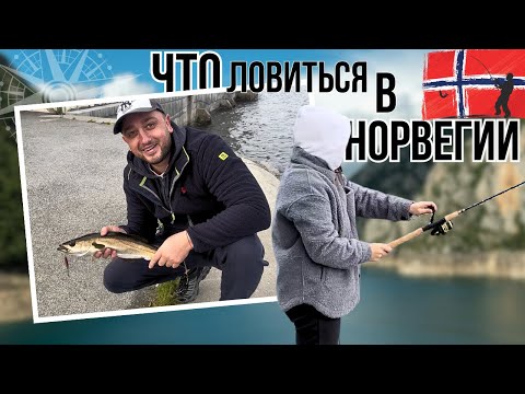 Видео: ПЕРВАЯ РЫБАЛКА В НОРВЕГИИ | УЧУ ДЕВУШКУ ЛОВИТЬ РЫБУ В ФЬОРДАХ
