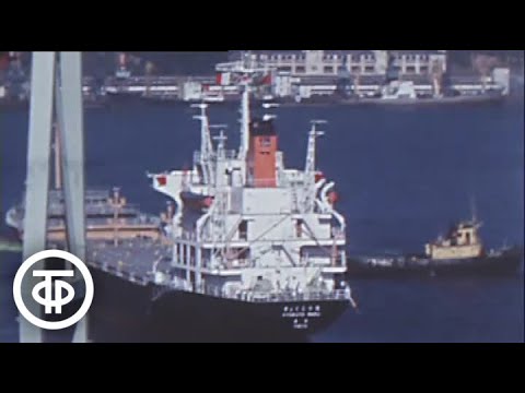 Видео: Транспортный узел в Находке. Новости. Эфир 3 октября 1978