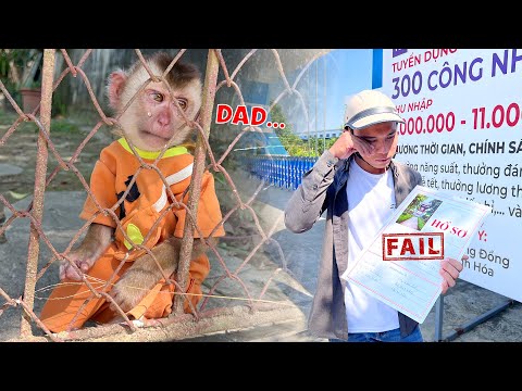 Видео: Папа подал заявку на работу, результаты были такими, как и ожидалось
