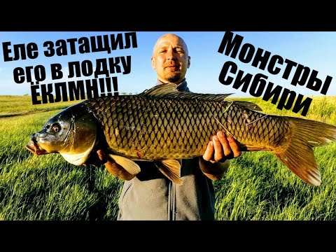 Видео: Кастинговая сеть американского типа ловит здоровых сазанов ЁКЛМН ! Кастинговая сеть рыбалка 2022