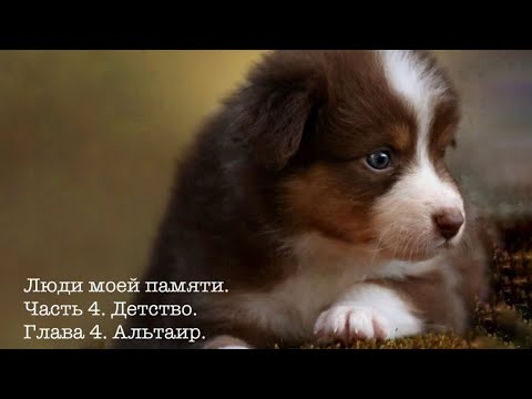 Видео: Люди моей памяти. Часть 4. Детство. Глава 4. Альтаир. Читает автор.