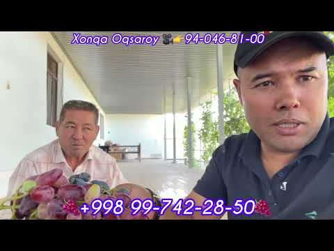 Видео: Чет Давлатнинг олий навли узумлари🍇