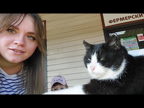 Видео: Мы снова сюда вернулись)! Зооферма шихово, зайдите, погуляйте с нами народ)! #шихово #влоги