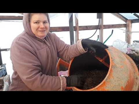 Видео: Готовлю субстрат для укоренения черенков.