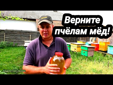 Видео: Как закормить пчёлы мёдом? Как закормить мёдом пчёл?