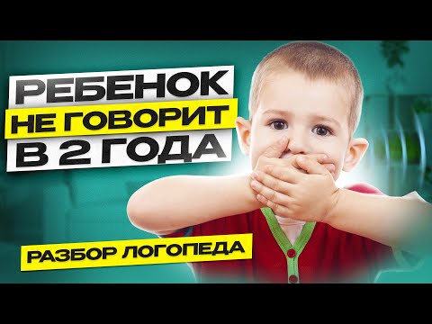 Видео: Ребенок НЕ ГОВОРИТ в 2 года. Плохо понимает речь. На что обратить внимание?