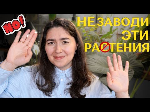 Видео: САМЫЕ невыносимые и КАПРИЗНЫЕ РАСТЕНИЯ по мнению МОИХ ПОДПИСЧИКОВ 🪴