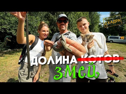 Видео: Долина змей. Сухая долина Тамашлык. В поисках гадюки. 2 кадра 25.07.2024