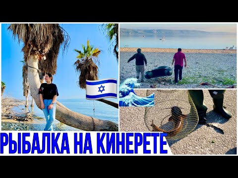 Видео: ИЗРАИЛЬ 🇮🇱/ РЫБАЛКА 🎣 НА КИНЕРЕТЕ / Отдых на море с ночевкой