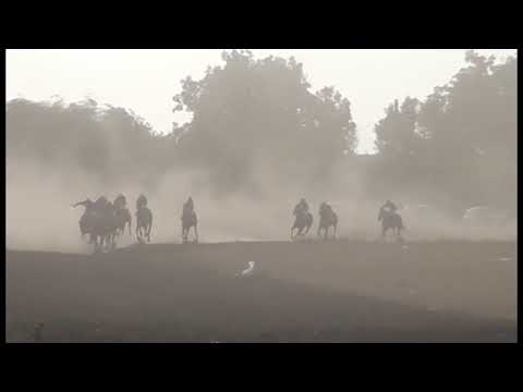 Видео: Браничево Конни надбягвания 9.08.2020г. (2)