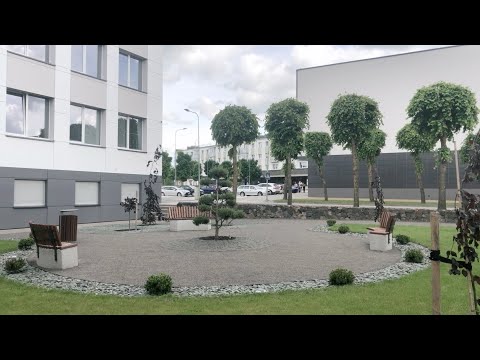 Видео: Жизнь в маленьком литовском городке Науйойи Акмене EP15 PART2