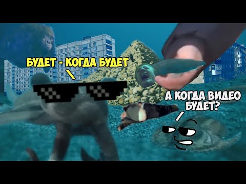 Видео: Прогулки с аморальными личностями [RYTP]